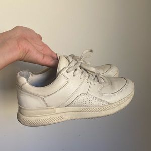 Everlane The Trainer